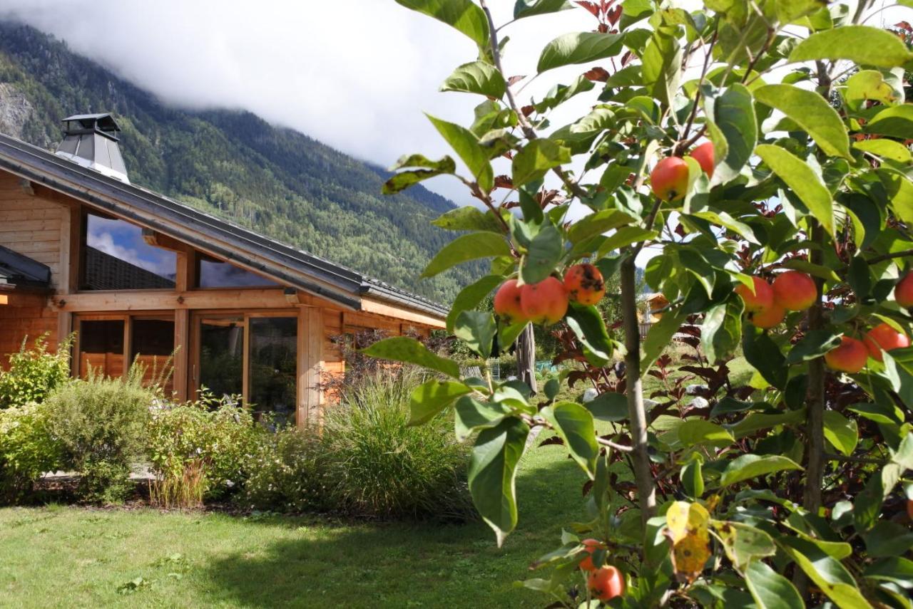 Grand Chalet Le Trappeur - Chamonix Exteriér fotografie